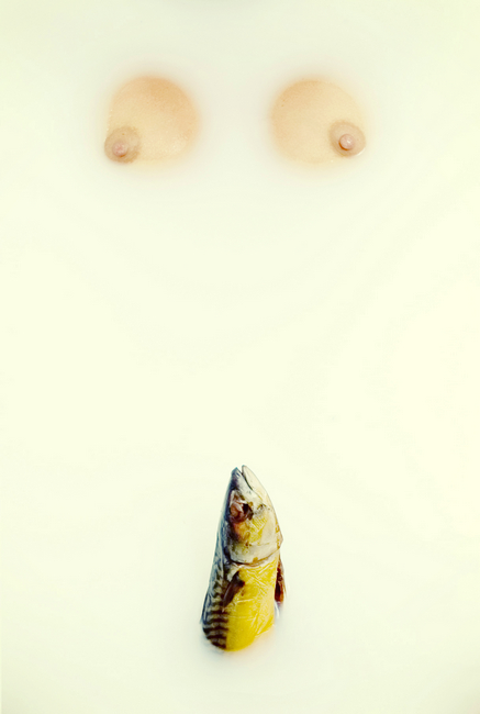 mackerel mackerel